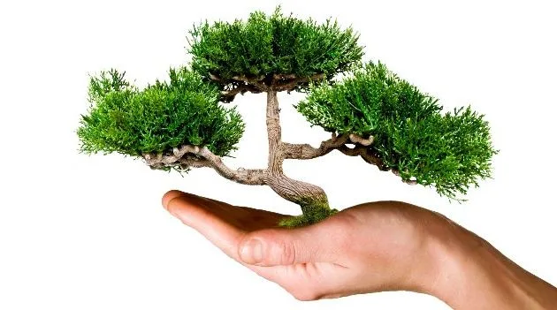 Growing
